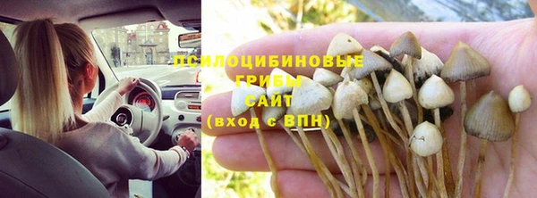 хмурый Лиски