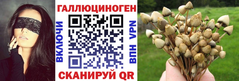 hydra как войти  Чёрмоз  Псилоцибиновые грибы мицелий 